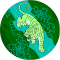 google profile photo