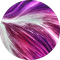 google profile photo