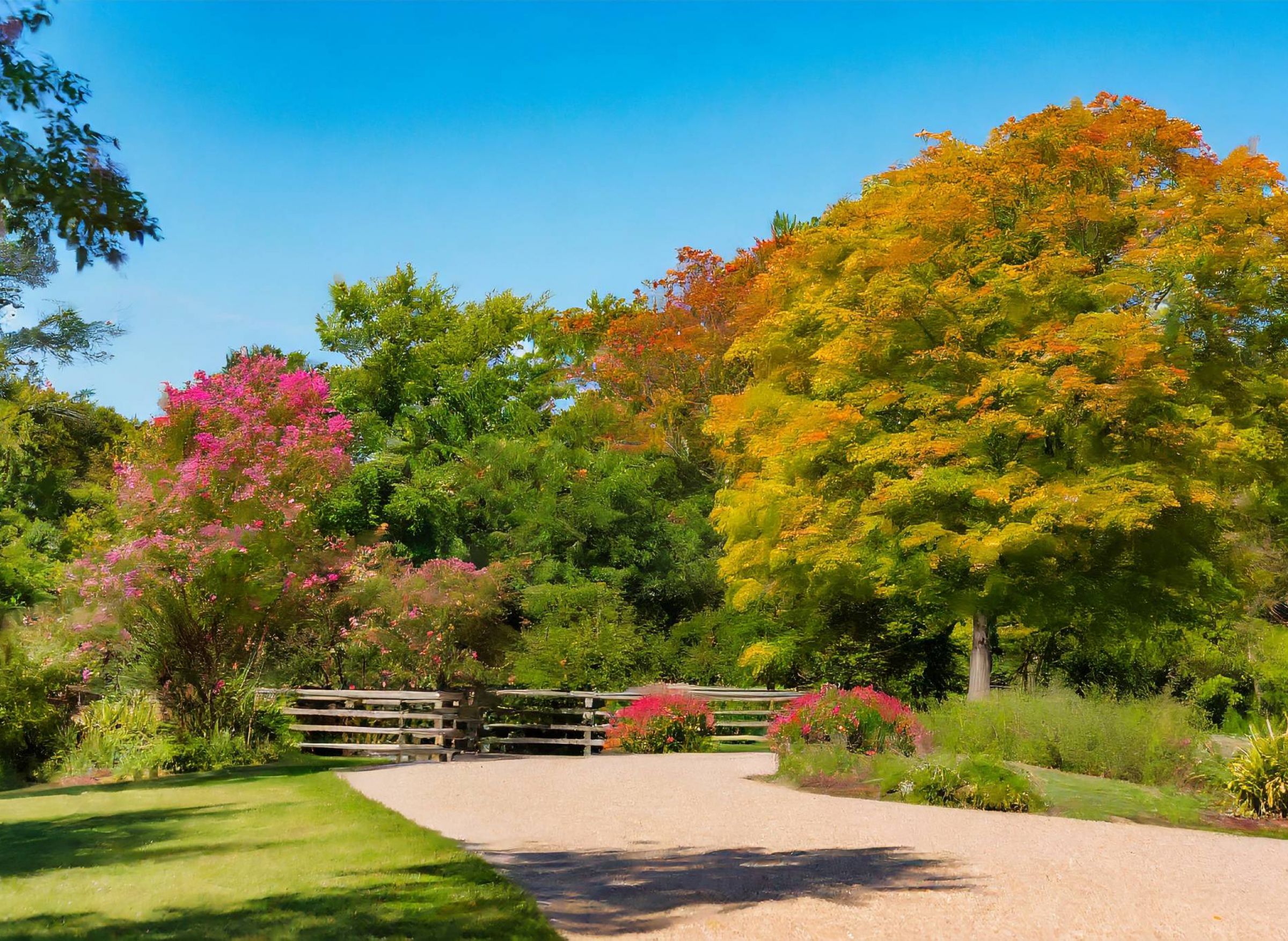 500 West Trade apartments in Charlotte, NC neighborhood charming park with autumn trees