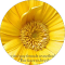 google profile photo